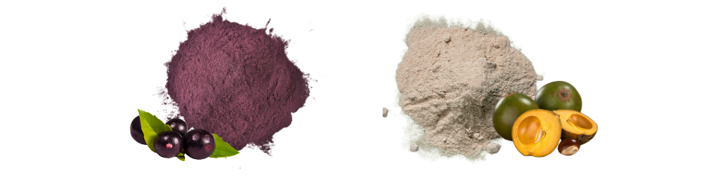 Exporting organic açaí powder and natural lúcuma powder from Peru, rich in antioxidants and essential nutrients. These superfood powders are highly sought after by health food brands, supplement producers, and importers aiming to meet the growing demand for natural, functional ingredients in the U.S. and international markets.