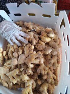 Box of ginger - Fresh organic Peruvian ginger with USDA Organic certification ready for export to the United States