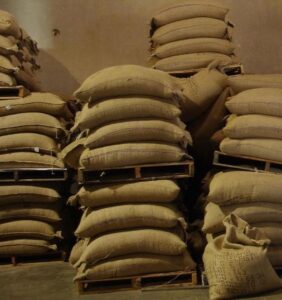 Cocoa beans stored in jute bags on wooden pallets in ventilated space.
